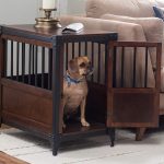 dog inside his wooden crate