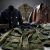 Comparing the Different Types of Military Jackets